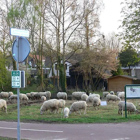 Bed & Breakfast Inndeberm Capelle aan den IJssel