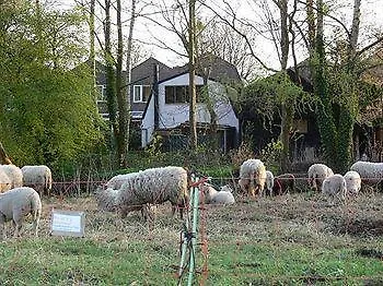 Bed & Breakfast Inndeberm 3* Capelle aan den IJssel